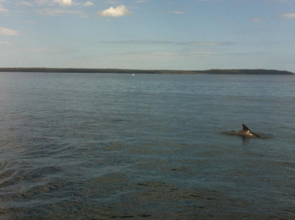 Jervis Bay Mariners Motel ฮัสกิสสัน ภายนอก รูปภาพ