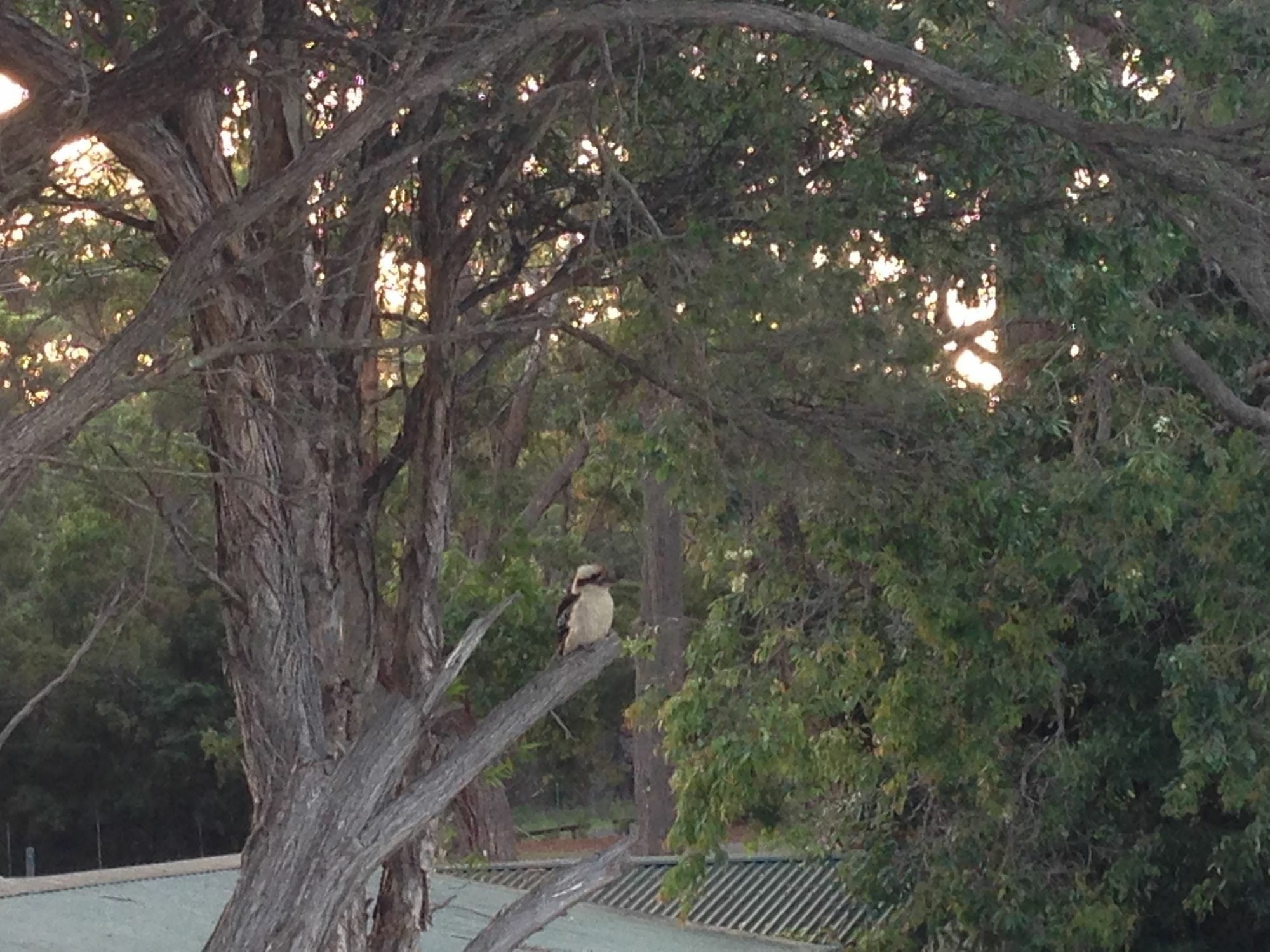 Jervis Bay Mariners Motel ฮัสกิสสัน ภายนอก รูปภาพ